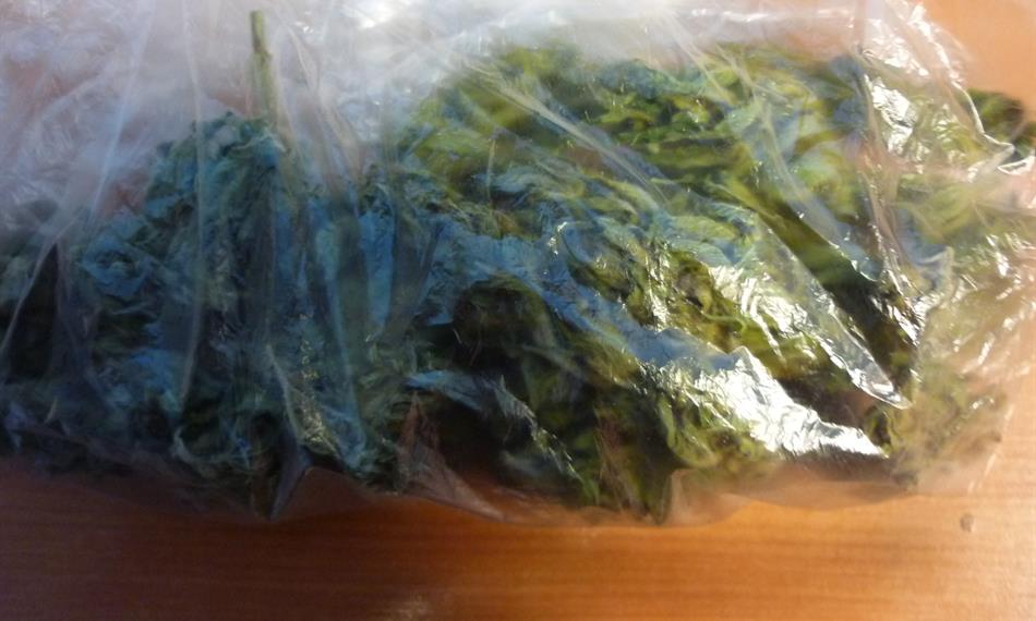 2014-12-8-1025foto 1 marihuana.JPG